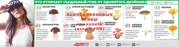 ГАЛЛЮЦИНОГЕННЫЕ ГРИБЫ Нея