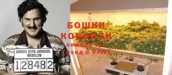 ALPHA-PVP Алексеевка
