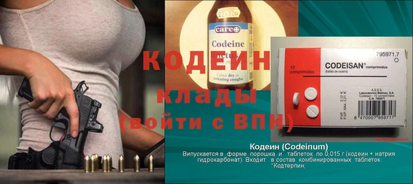 хмурый Алзамай