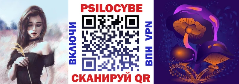 продажа наркотиков  Самара  hydra вход  Псилоцибиновые грибы Psilocybe 