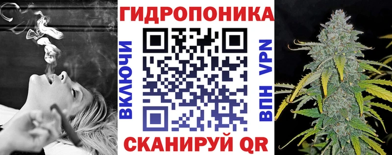 магазин    Самара  Канабис сатива 
